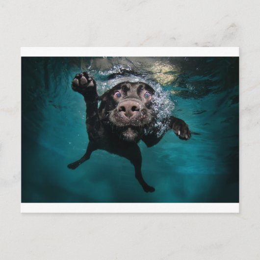 3.jpeg postkarte (Vorderseite)