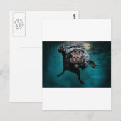 3.jpeg postkarte (Vorne/Hinten)