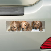 3 Jungen im Wanne-Autoaufkleber Autoaufkleber (Auf Auto)