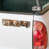 3 Jungen im Wanne-Autoaufkleber Autoaufkleber (Auf Lkw)