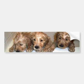 3 Jungen im Wanne-Autoaufkleber Autoaufkleber