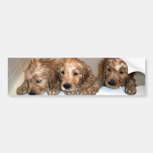 3 Jungen im Wanne-Autoaufkleber Autoaufkleber (Vorne)