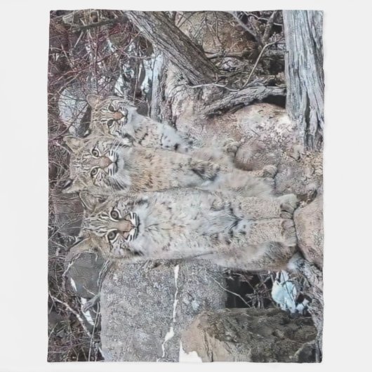 3 KABELN FLEECEDECKE (Vorderseite)