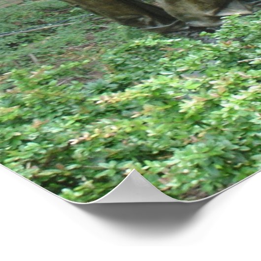 3 Kampf Männer Poster (Ecke)