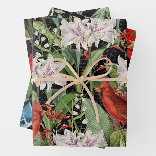 3 Kardinal Jay Winter Bird Collage Ephemera Sheets Geschenkpapier Set (Beispiel)