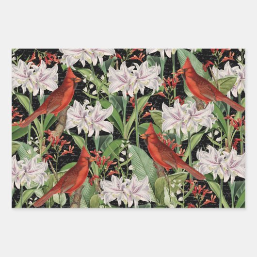 3 Kardinal Jay Winter Bird Collage Ephemera Sheets Geschenkpapier Set (Vorderseite)