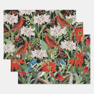 3 Kardinal Jay Winter Bird Collage Ephemera Sheets Geschenkpapier Set