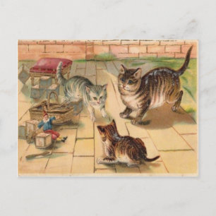3 Katzen, die mit Spielzeug spielen, Vintage Postk Postkarte