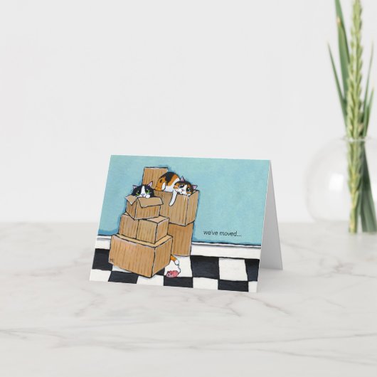 3 Katzen und Boxen | Wir haben die Note Card versc Ankündigung (Vorderseite)