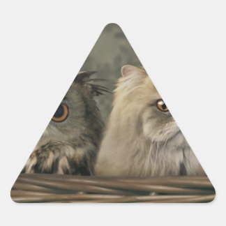 3 Katzen und eine Eule in einem Korb Dreieckiger Aufkleber