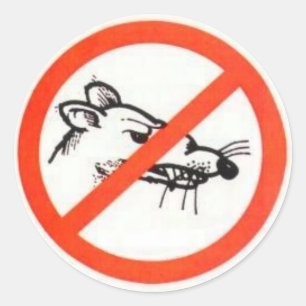 3" Kein Rattenaufkleber Runder Aufkleber