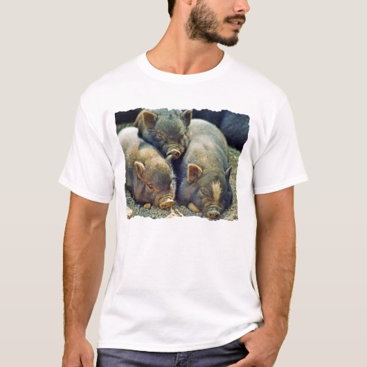 3 kleine Schweine T-Shirt (Vorderseite)
