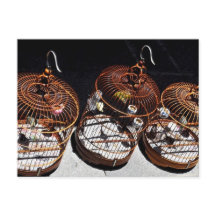 3 Kleine Vögel in China Postkarte