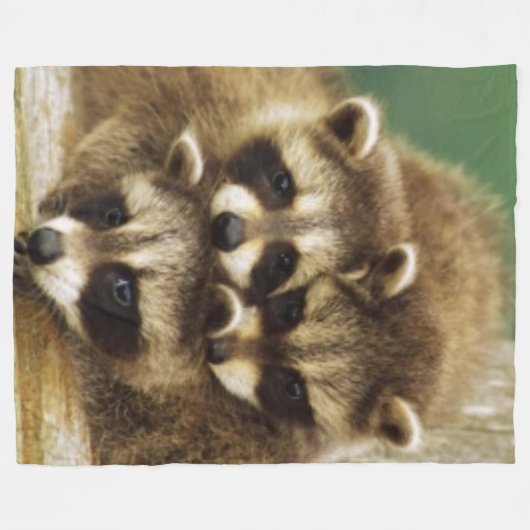 3 KLEINE WASCHBÄREN FLEECEDECKE (Vorderseite (Horizontal))