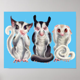 3 kluge Segelflugzeuge Poster