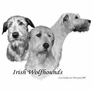 3 Köpfe des irischen Wolfhound Fotoskulptur Magnet