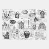 3 KÖRPERKÖRPERKÖRPERKÖRPER EphemerESCHICHTE Geschenkpapier Set (Vorderseite 3)