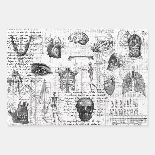 3 KÖRPERKÖRPERKÖRPERKÖRPER EphemerESCHICHTE Geschenkpapier Set (Vorderseite 3)