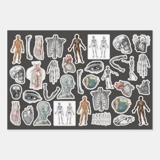 3 KÖRPERKÖRPERKÖRPERKÖRPER EphemerESCHICHTE Geschenkpapier Set (Vorderseite 2)