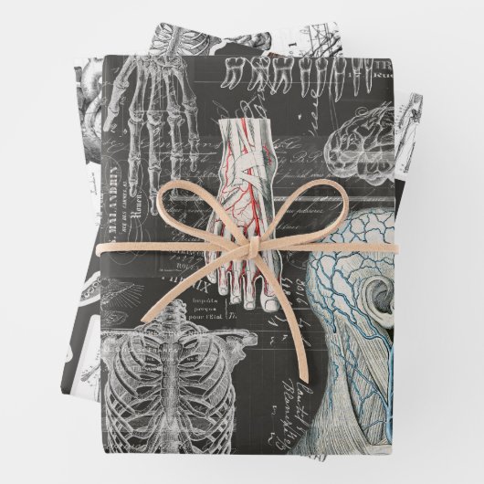 3 KÖRPERKÖRPERKÖRPERKÖRPER EphemerESCHICHTE Geschenkpapier Set (Beispiel)