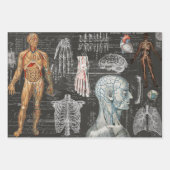 3 KÖRPERKÖRPERKÖRPERKÖRPER EphemerESCHICHTE Geschenkpapier Set (Vorderseite)