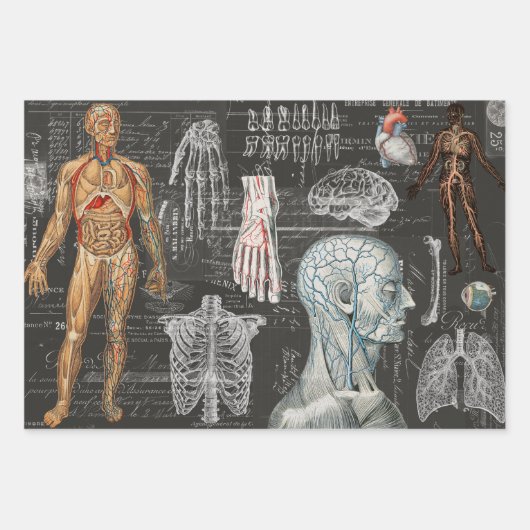 3 KÖRPERKÖRPERKÖRPERKÖRPER EphemerESCHICHTE Geschenkpapier Set (Vorderseite)