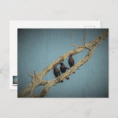 3 Krähen Postkarte (Vorne/Hinten)
