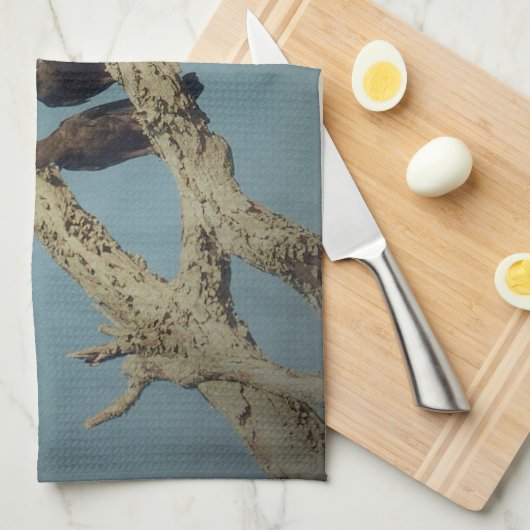 3 Küchentücher (Viertel Falte)