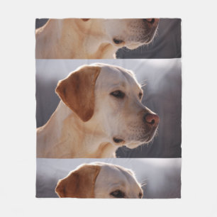 3 Labrador_Retriever Fleecedecke
