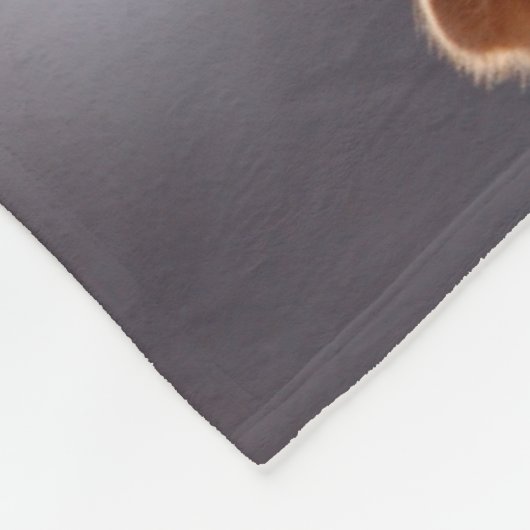 3 Labrador_Retriever Fleecedecke (Ecke)