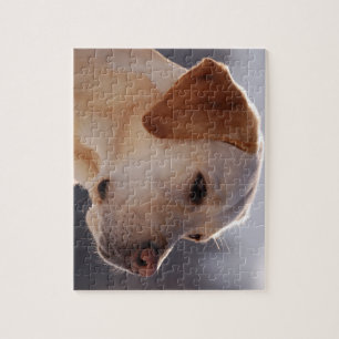 3 Labrador_Retriever.png Puzzle