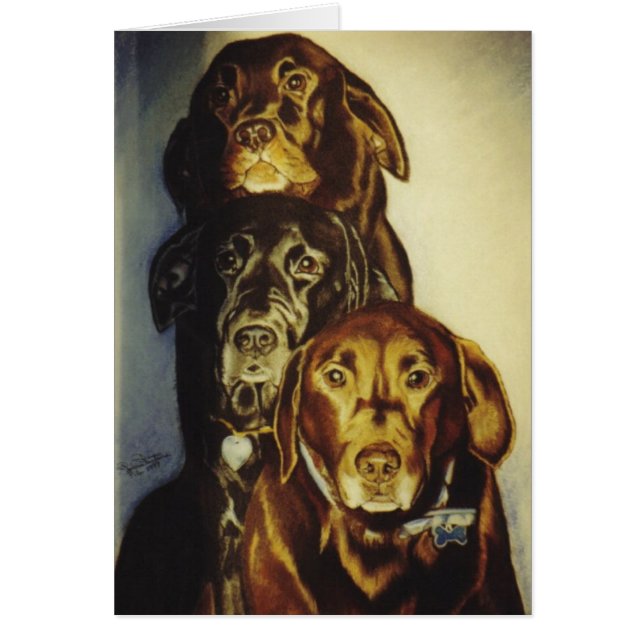 "3 Labradors " (Vorne)