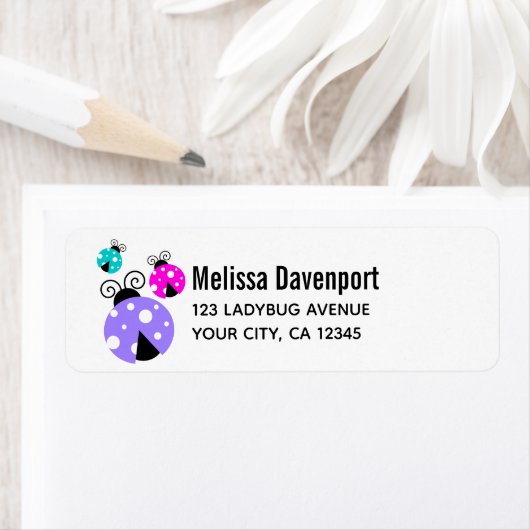 3 Ladybugs in Lila rosa und blau (Insitu)