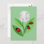3 Ladybugs Postkarte (Vorne/Hinten)