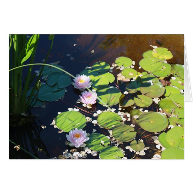 3 Lilien (Vorderseite (Horizontal))