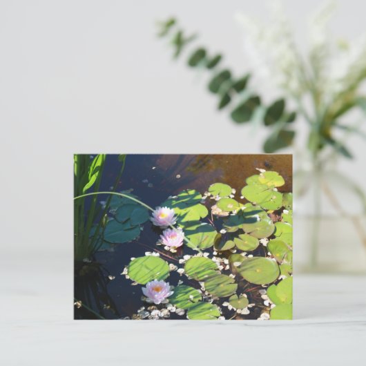 3 Lilien Postkarte (Stehend Vorderseite)