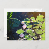 3 Lilien Postkarte (Vorne/Hinten)