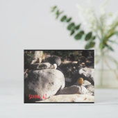 3 Liter Rocks Postkarte (Stehend Vorderseite)