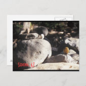 3 Liter Rocks Postkarte (Vorne/Hinten)