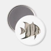 3 Logo "Spadefish" Magnet (Vorderseite/Rückseite)