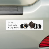 3 long haired piggies bumper sticker autoaufkleber (Auf Auto)