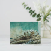 3 lustige Otter in einem schönen Hintergrund Postkarte (Stehend Vorderseite)