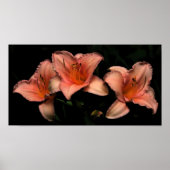 3 Mädchen Poster (Vorne)