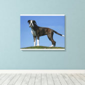 3 Monate alter Boxer Welpe Leinwanddruck (Insitu (Holzboden))
