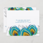 3 Musical Peacock Feathers UAWG Postcard RSVP Karte (Vorne/Hinten)