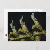 3 Nagas in der Nacht Postkarte (Vorne/Hinten)