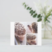 3 Nahe Ups, Spike Postkarte (Stehend Vorderseite)