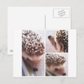 3 Nahe Ups, Spike Postkarte (Vorne/Hinten)