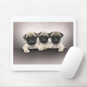 3 niedlicher Mops Pippies Mousepad (Mit Mouse)