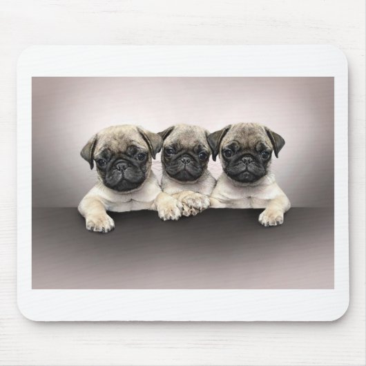 3 niedlicher Mops Pippies Mousepad (Vorne)